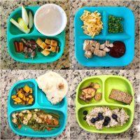 Toddler Meal Ideas 