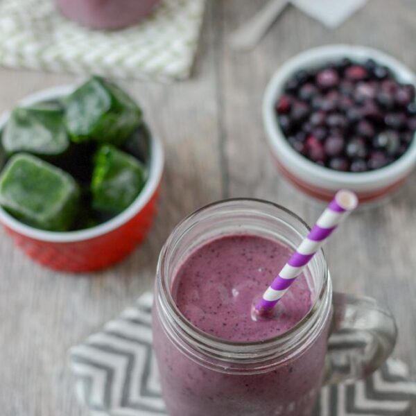 Wild Blueberry Kefir Smoothie