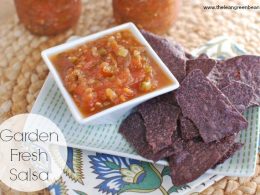 Garden Fresh Salsa — Brenham Kitchens