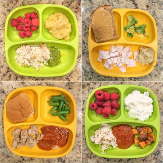 100 Healthy Toddler Meals 