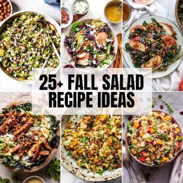 fall salad recipes